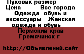 Пуховик размер 42-44 › Цена ­ 750 - Все города Одежда, обувь и аксессуары » Женская одежда и обувь   . Пермский край,Гремячинск г.